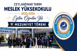 Ceylanpınar MYO Mezuniyet Coşkusu
